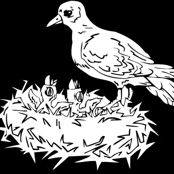 mom w chicks Thumbnail