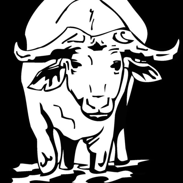 water buffalo Thumbnail