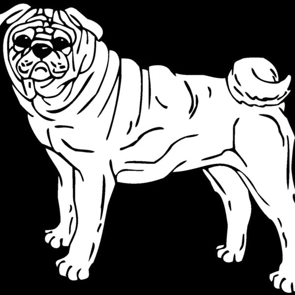 pug Thumbnail