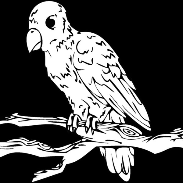 bird on limb Thumbnail