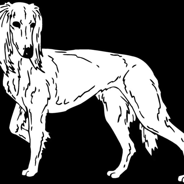 saluki Thumbnail