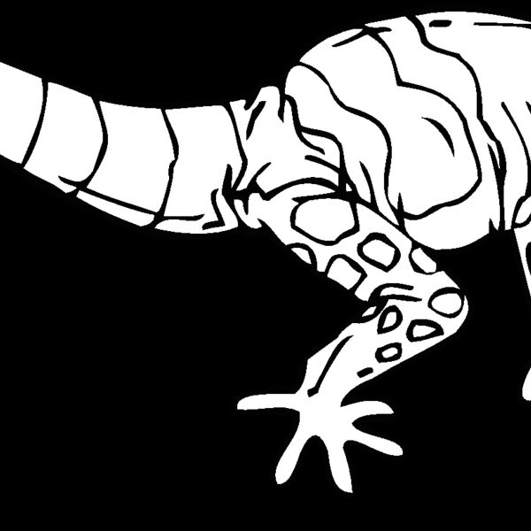 banded gila monster Thumbnail