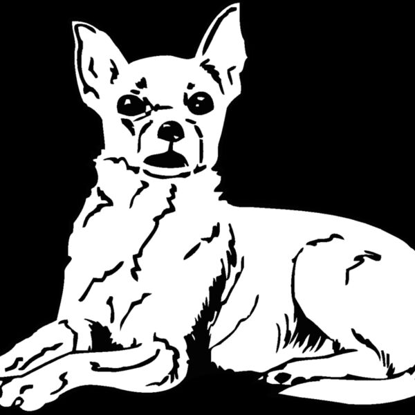 chihuahua2 Thumbnail