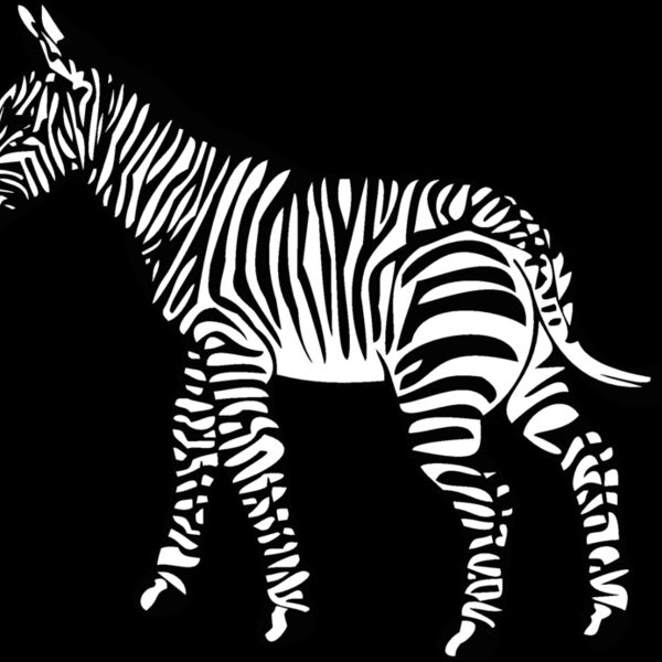 zebra Thumbnail