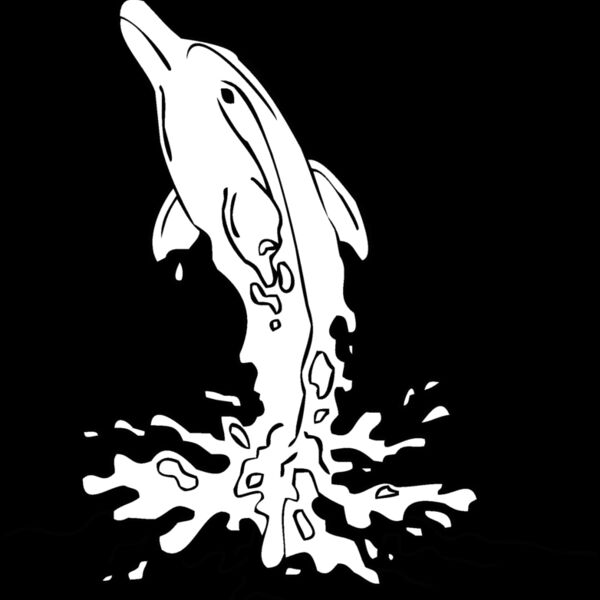 dolphin27 Thumbnail
