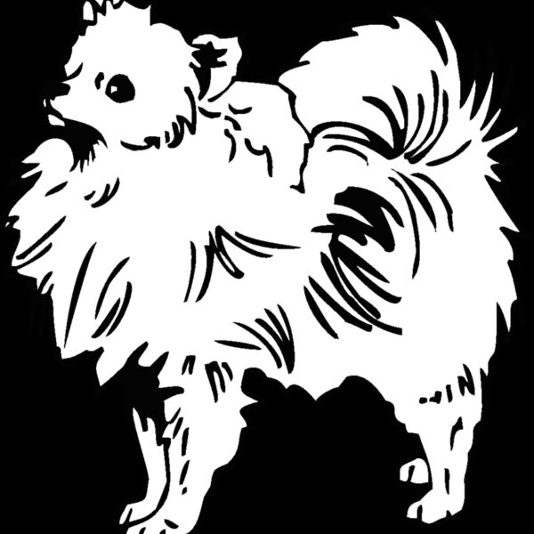 pomeranian Thumbnail