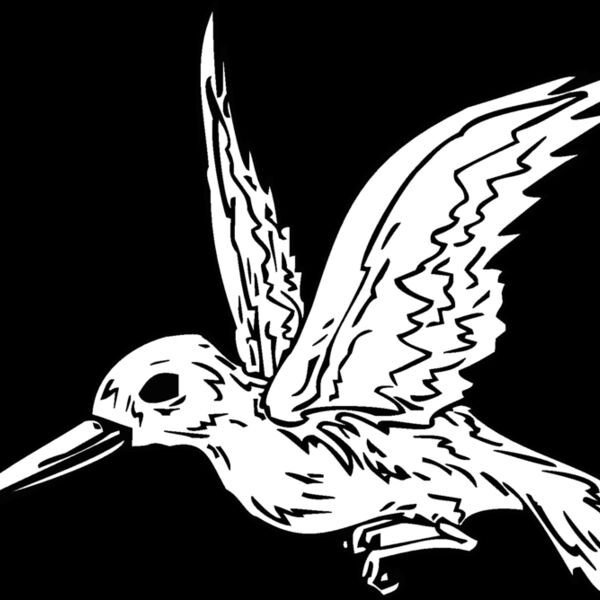 hummingbird Thumbnail