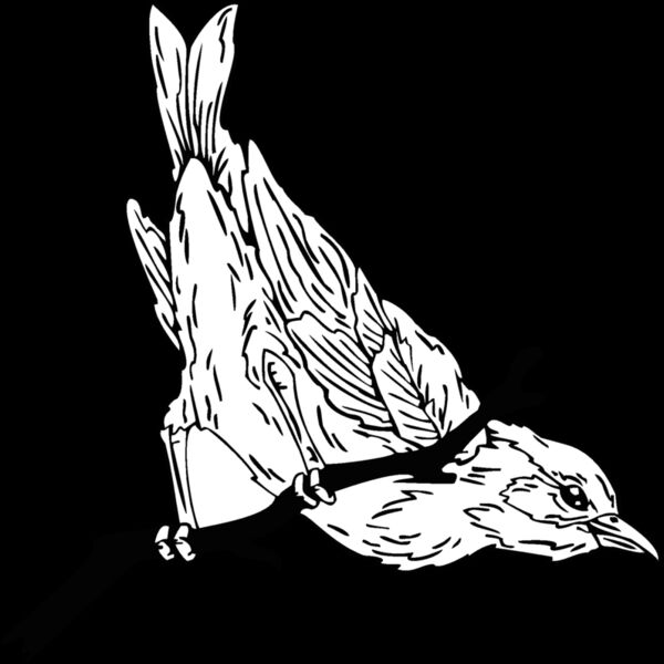 sparrow Thumbnail