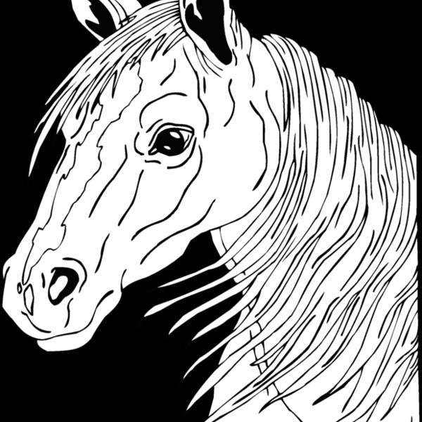 horsehead04 Thumbnail