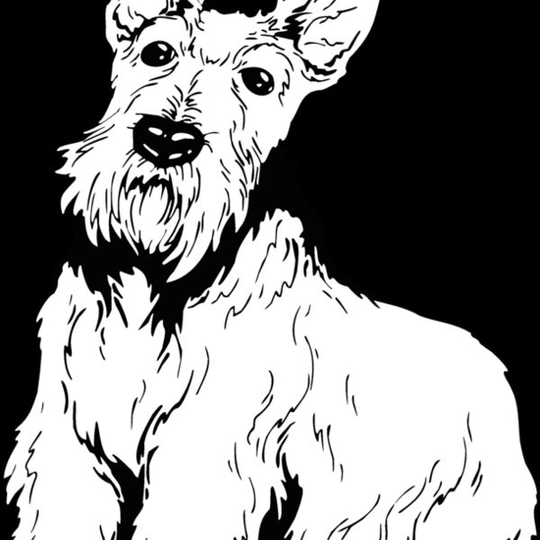 scottish terrier 2 Thumbnail