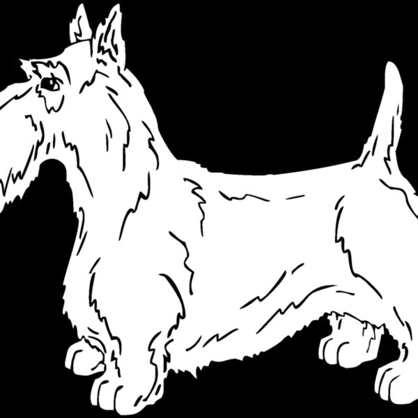 scottish terrier Thumbnail