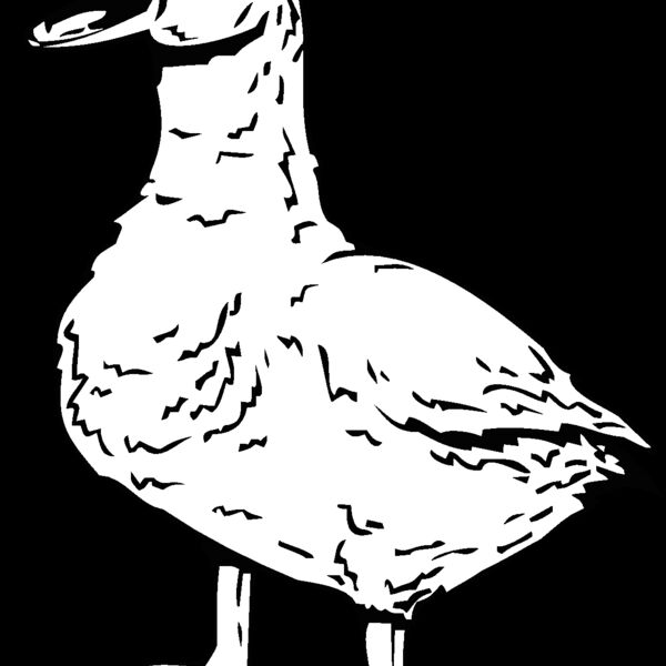 duck2 Thumbnail