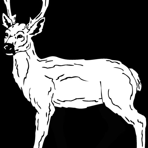 deer5 Thumbnail