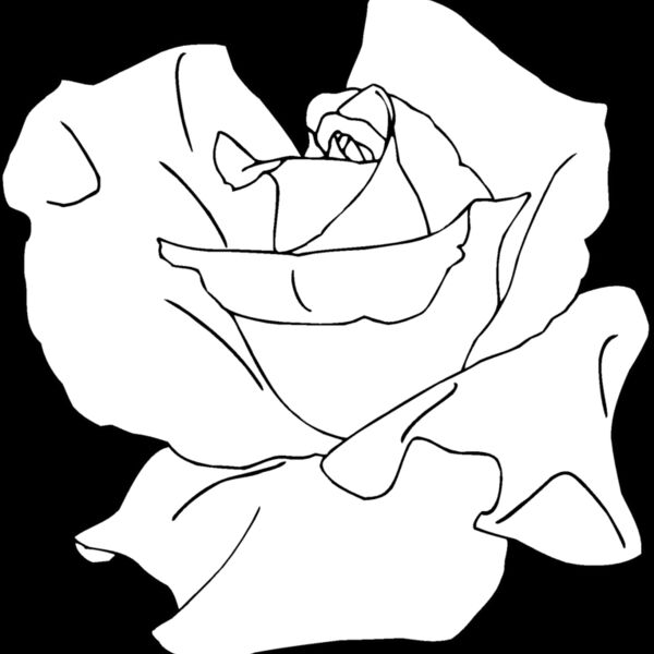 tearose Thumbnail