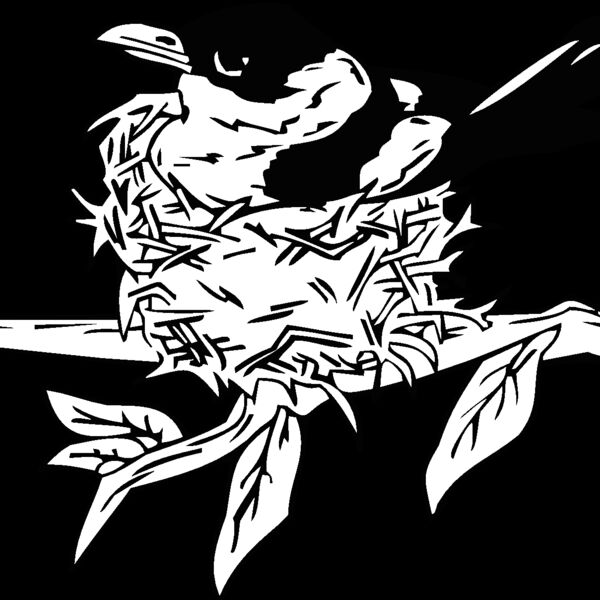 bird nesting Thumbnail