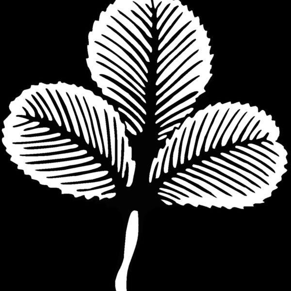 3leafclover Thumbnail