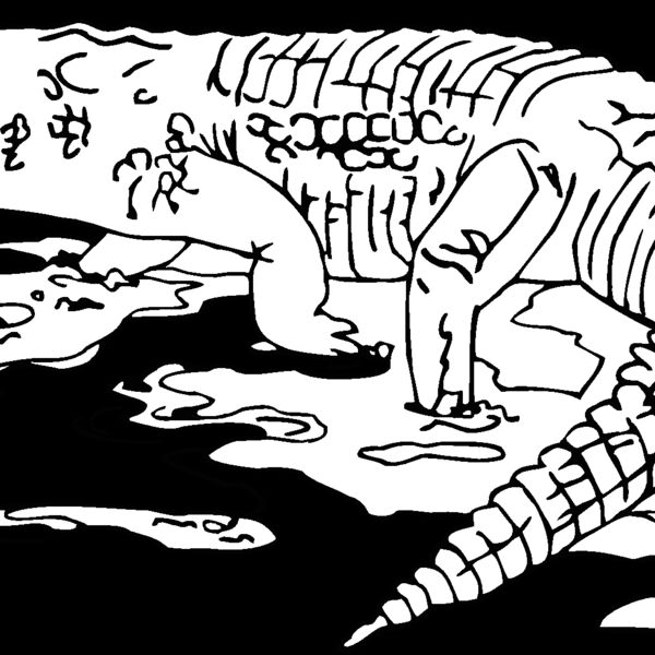 nilecrocodile Thumbnail