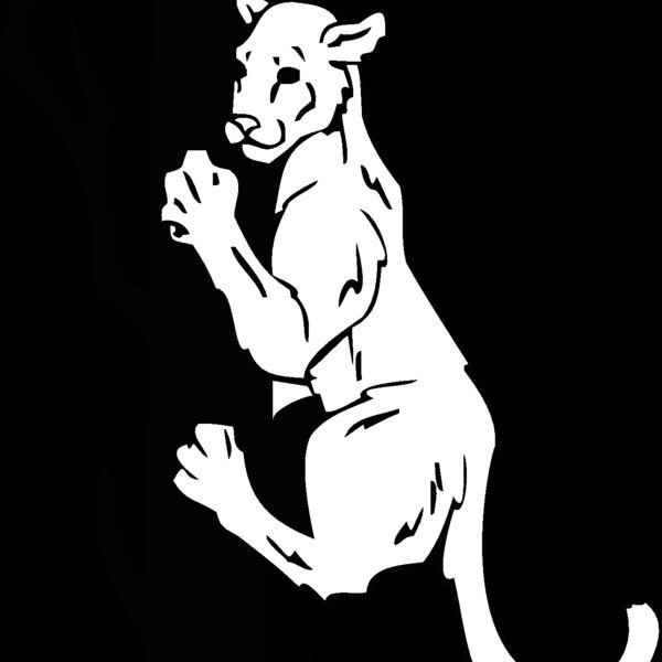 climbincougar Thumbnail