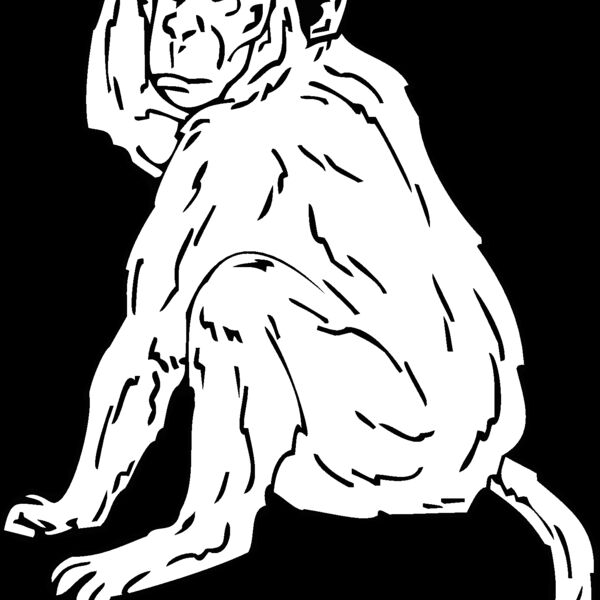 rhesusmonkey Thumbnail