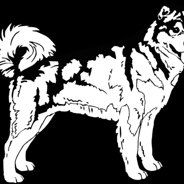 alaskan husky Thumbnail