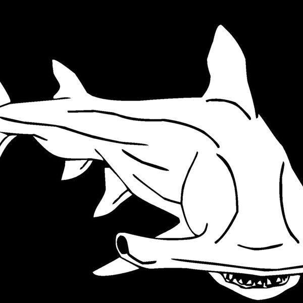 hammerhead Thumbnail