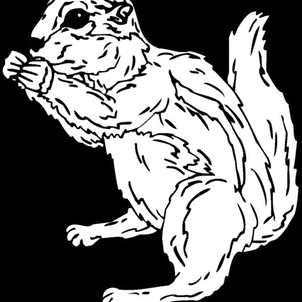 groundsquirrel Thumbnail