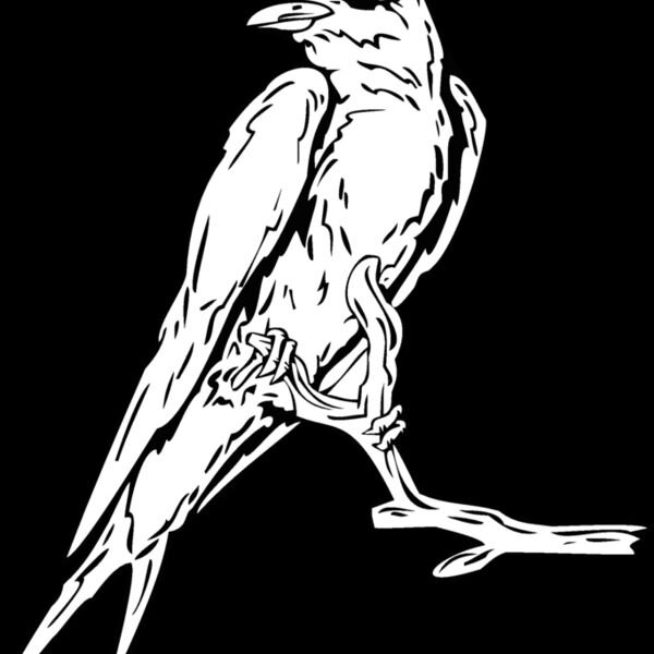 bird12 Thumbnail