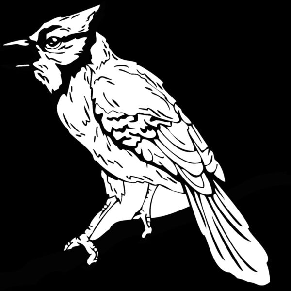 bluejay Thumbnail
