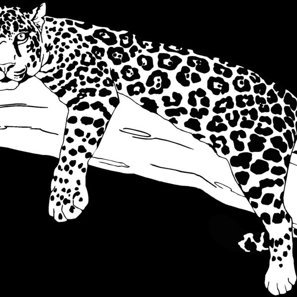leopard Thumbnail