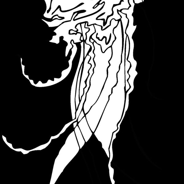 portuguese man of war jellyfish Thumbnail