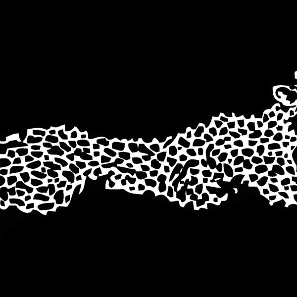cheetah Thumbnail
