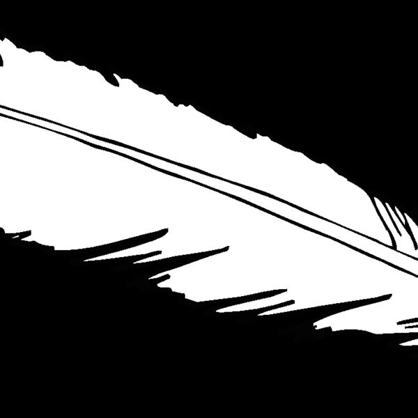 feathers12 Thumbnail