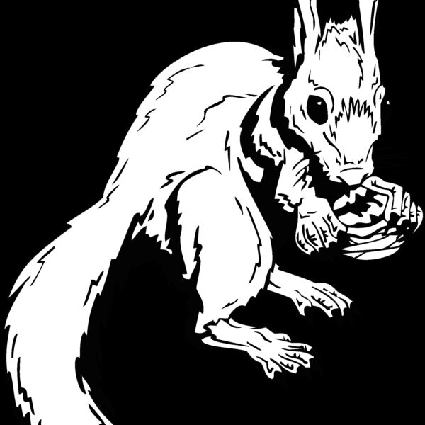 rabbit squirrel Thumbnail