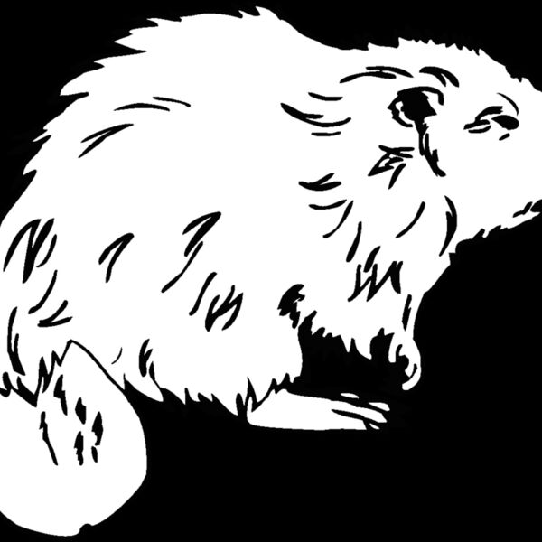 beaver1 Thumbnail