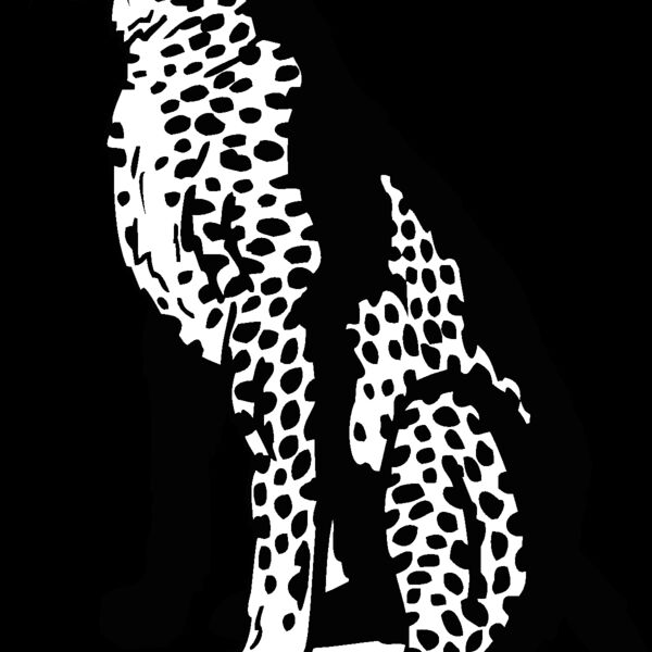 cheetah3 Thumbnail
