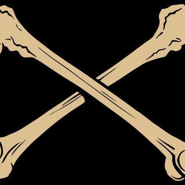 esbones002clr Thumbnail