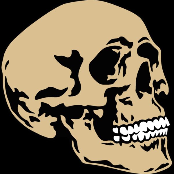 es2skull016clr Thumbnail