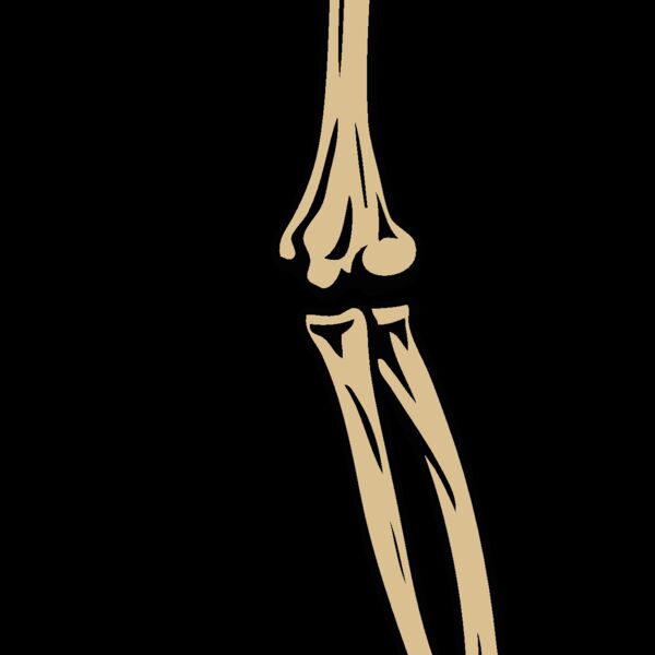 esbones003clr Thumbnail