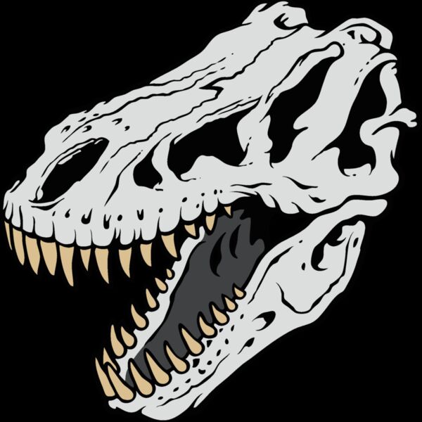 t rex skull Thumbnail