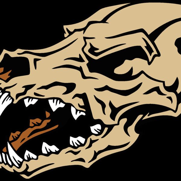 es2skull019clr Thumbnail