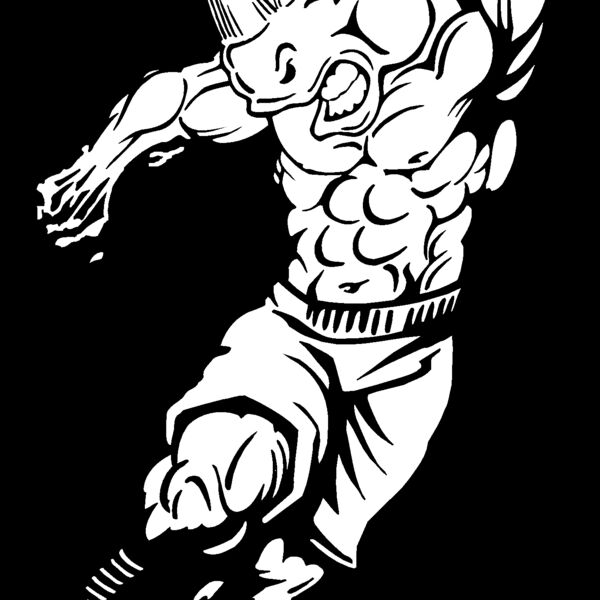 rhinovolleyball Thumbnail