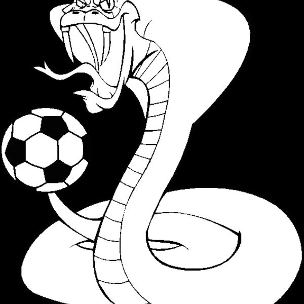 cobrascrbns Thumbnail