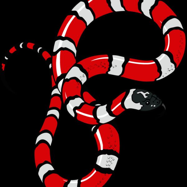 snake12v4clr Thumbnail