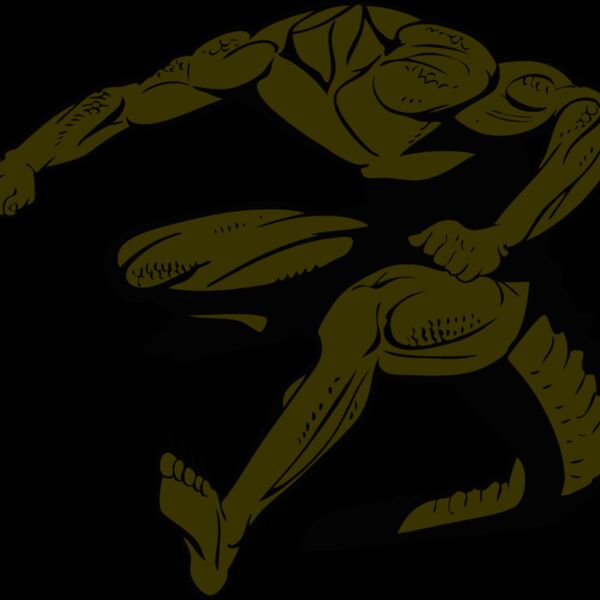 gatorbody02 Thumbnail