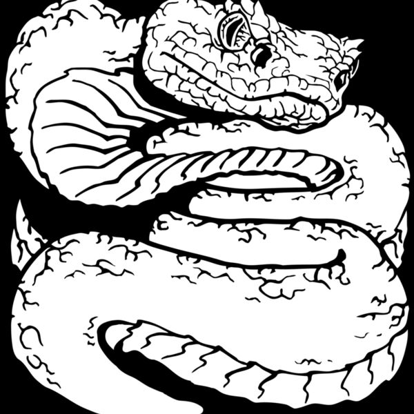 cooperheadsnake Thumbnail