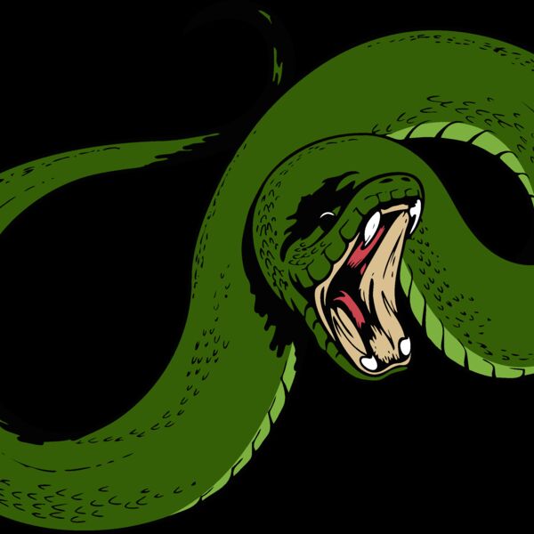 snake08v4clr Thumbnail