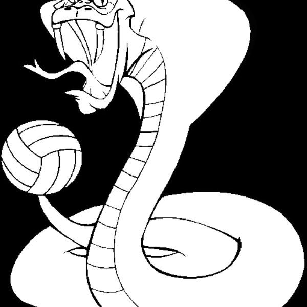 cobravlybns Thumbnail