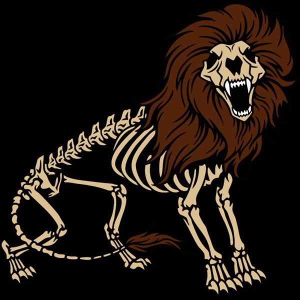 lion skeleton 1 Thumbnail