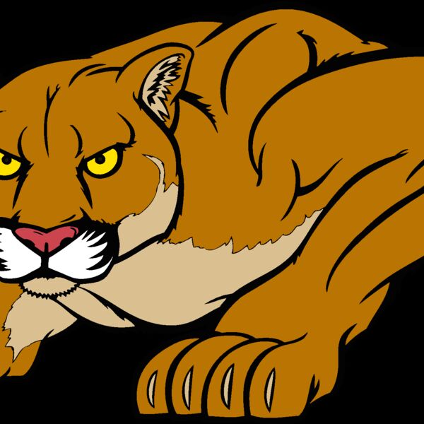 cougar06v4clr Thumbnail