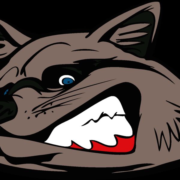 raccoonhd02 Thumbnail